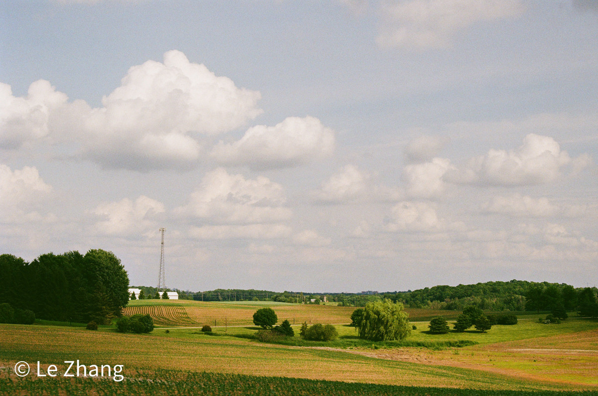 Field